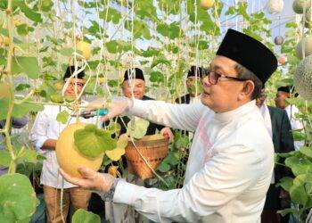 Pj. Gubernur Jatim Panen Melon di Masjid Al Akbar Surabaya