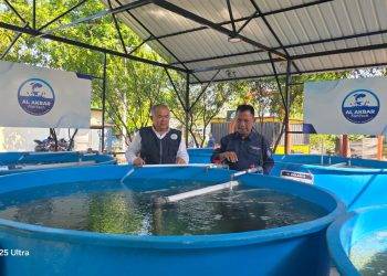 Tahun Baru Islam 2026, ada “FishTech” di Masjid Al-Akbar, Apa Itu?!