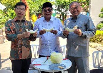 Konjen China di Surabaya Panen Melon di Masjid Al-Akbar